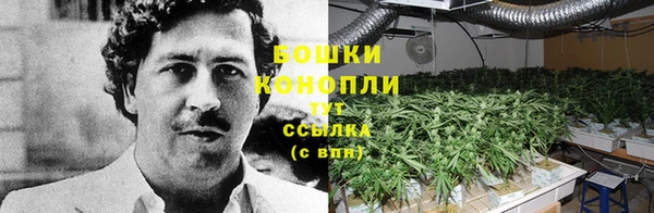 гидропоника Алексин