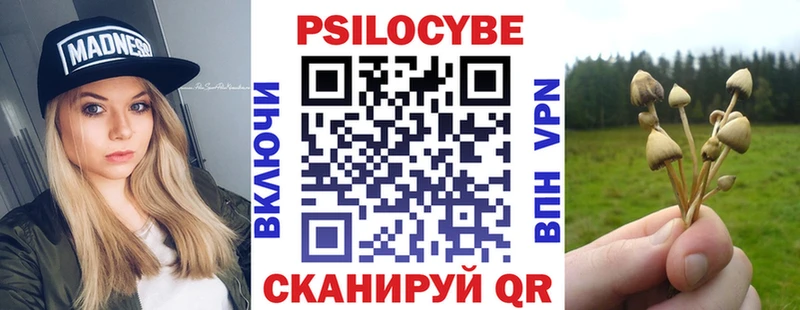 Галлюциногенные грибы Cubensis  Салехард 